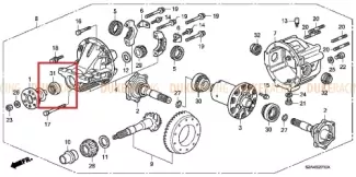 OIL SEAL